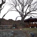 중대산 입구(만지송) Daum카페