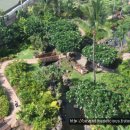 알로하호텔 이미지