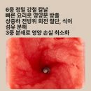 울트라무역 | 이오무역 고속 과일 주스 믹서기 바쁜 아침 시간 줄여주는 꿀템이라 공유해요