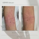 오르아즈 이미지