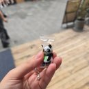 자스민 동물병원 | &lt;250912-250915&gt; 주말 꽉 채워 다녀온 충칭 여행