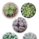 덕봉농장 이미지