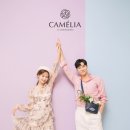 스튜디오카멜리아