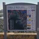서해랑길 88코스 이미지