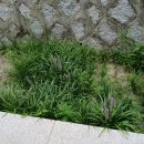 신라펜션 이미지