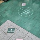 건강이네 도매짱 이미지