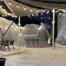 퍼프.아케이드커피 이미지