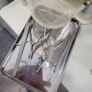 [제천 발톱무좀 케어] 롯데마트 제천점 &lt;푸스케어&gt;에서 발톱 살려낸 후기💅