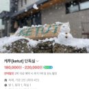 케투 | 제주 조천 독채펜션 갬성터지는 예쁜 케투 숙박후기~
