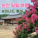논산 여행 (아너드 투어) 배롱나무 명소 종학당 명재고택 논산 가볼만한 곳 당일치기 국내 여행 후기
