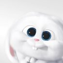 청담눈초롱안과동물병원 이미지