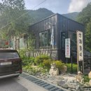 [정선] 파인포레스트 근처 정선 한정식 물소리바람소리 내돈내산 솔직후기