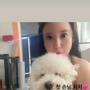 뽀살롱 네이버블로그