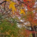 수월한공인중개사사무소 이미지