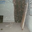 덕진-79 이미지