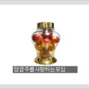 용천자연유리 Daum카페