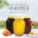 국내산 햇꿀 50% 맛보기 이벤트 이미지