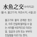 물고기야놀자