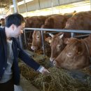 산골한우농장 이미지