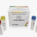 이디메디칼 이미지