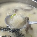 옹칼지네 이미지