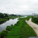 영천(대구) 이미지