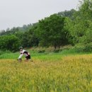 고기리5 이미지