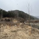 덕진-86 이미지