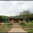 오방색권역 | 강진가볼만한 곳 천년고찰 무위사 불교미술의 백미를 찾아서..