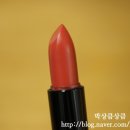 도디 이미지