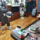 오션방역