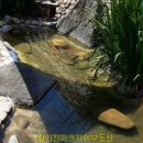 이포공인중개사사무소 이미지