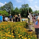 내곡동467 이미지