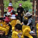 노화중앙초등학교 이미지