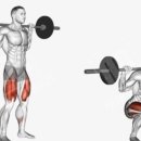 ZO GYM(조짐) 이미지