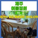 표선보건소 | 제주표선브런치 강아지동반 피크닉 감성 여름정원