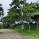 상족암오토캠핑장