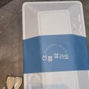 아이스걸크림보이강남대치 | [내돈내산] 아이스걸크림보이 강남대치점 솔직 후기 | 38가지 맛 조합🍨