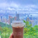 홍콩 하버뷰 카페 아는 사람들만 가는 피크타워 퍼시픽 커피 위치 가격 Pacific Coffee The Peak Tower