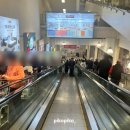 부부생필품 유통 | [🚩하남] 코스트코 하남점 생필품 재구매템, 추천템 소개! (블프 할인행사, 구매품목, 추천상품, 신제품)