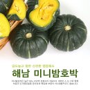 해남물산 이미지