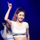 시슴 이미지