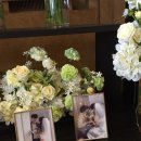 성언의집 | 웨딩 포토테이블 준비하기+짧은 결혼식 후기! 소중한 순간을 특별하게 기록하는 방법