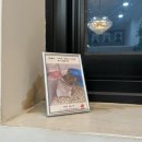 화성노인요양원 | 골든햄스터 진원이와의 이별, 장례전문업체 스토리펫 후기 (화성)