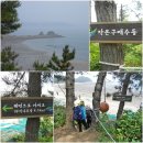 솔향기길1코스(당봉) 이미지