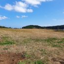 수산2리 이미지