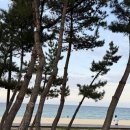 대게횟집 - 북구 정자1길 65-1 | [강릉] 강릉강문오징어회 추천! "피쉬맨대게횟집" 다녀온 후기