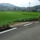 문평면사무소 이미지