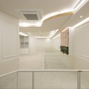 쿠이다르 이미지