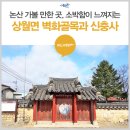 신충사 이미지